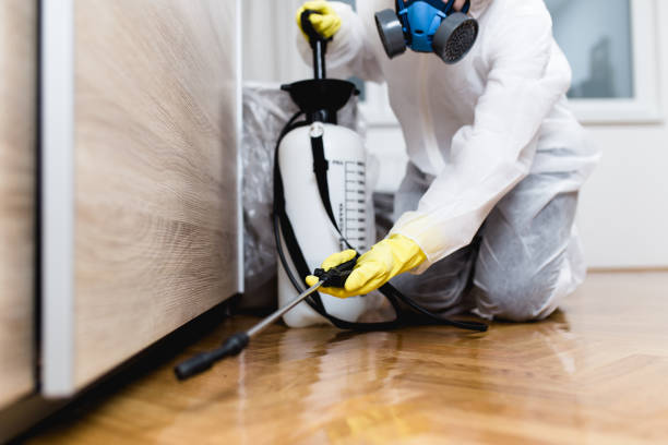 Best Pest Control Cost  in Rosenhayn, NJ