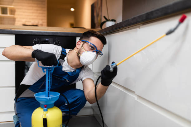 Best Flea Control Services  in Rosenhayn, NJ