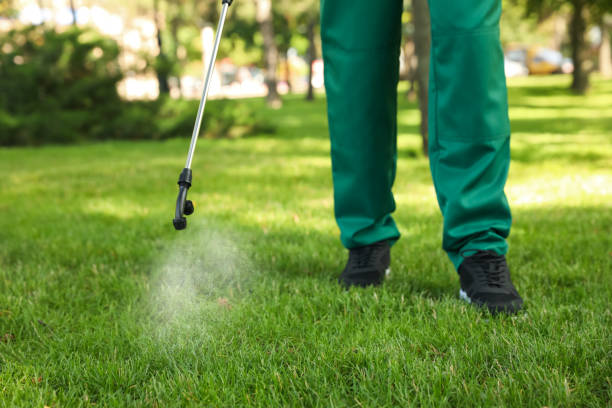 Reliable Rosenhayn, NJ Pest Control Solutions