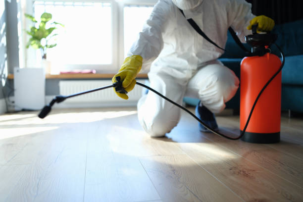 Flea Control Services in Rosenhayn, NJ