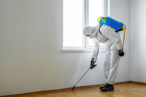 Best Commercial Pest Control Services  in Rosenhayn, NJ