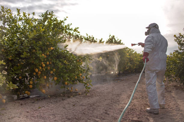  Rosenhayn, NJ Pest Control Pros