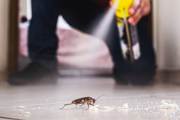 Best Cockroach Control Services  in Rosenhayn, NJ
