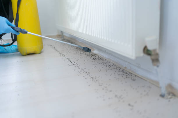 Best Pest Removal Services  in Rosenhayn, NJ